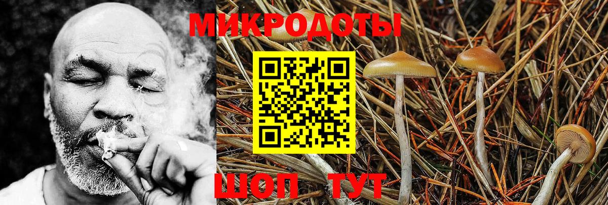 Галлюциногенные грибы Psilocybine cubensis  Псилоцибиновые грибы Psilocybine cubensis  Артём  Вход с VPN 