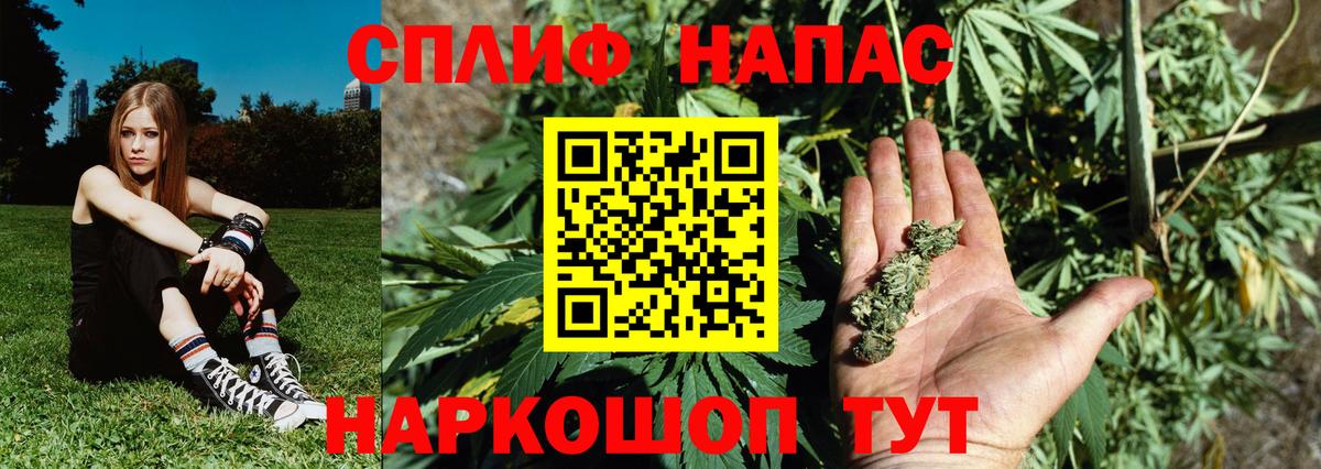 Каннабис OG Kush  Артём  Бошки марихуана сатива  МАРИХУАНА план 
